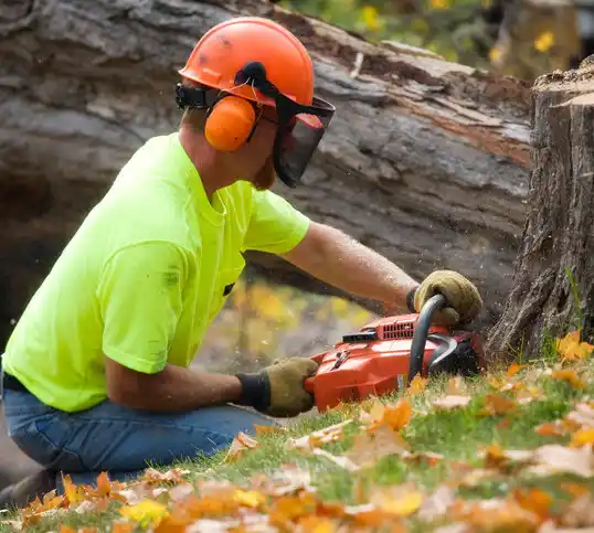 tree services Carlyss